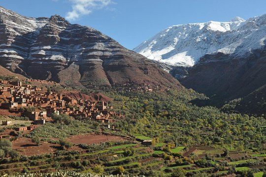 Tour image 11