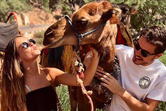 Tour image 8